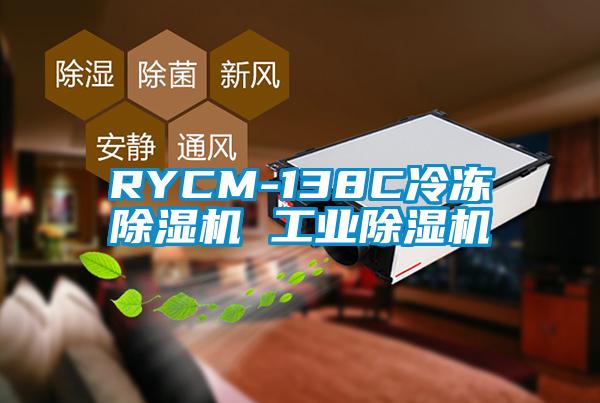 RYCM-138C冷凍除濕機(jī) 工業(yè)除濕機(jī)