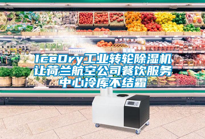 IceDry工業(yè)轉(zhuǎn)輪除濕機(jī)讓荷蘭航空公司餐飲服務(wù)中心冷庫(kù)不結(jié)霜