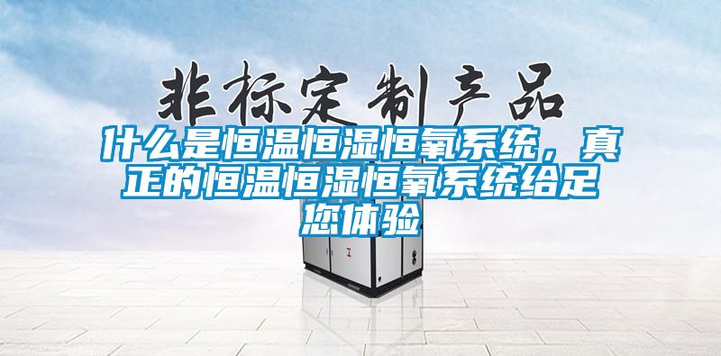 什么是恒溫恒濕恒氧系統(tǒng)，真正的恒溫恒濕恒氧系統(tǒng)給足您體驗