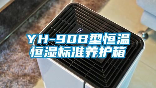 YH-90B型恒溫恒濕標準養(yǎng)護箱