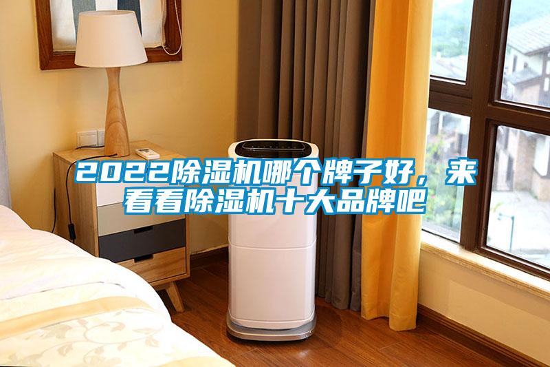 2022除濕機(jī)哪個(gè)牌子好，來(lái)看看除濕機(jī)十大品牌吧