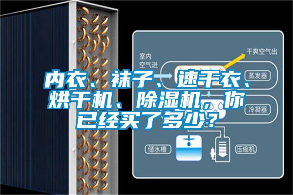 內(nèi)衣、襪子、速干衣、烘干機、除濕機，你已經(jīng)買了多少？