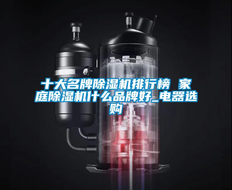 十大名牌除濕機(jī)排行榜 家庭除濕機(jī)什么品牌好_電器選購