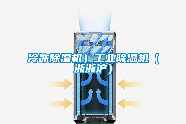 冷凍除濕機）工業(yè)除濕機（浙浙滬）