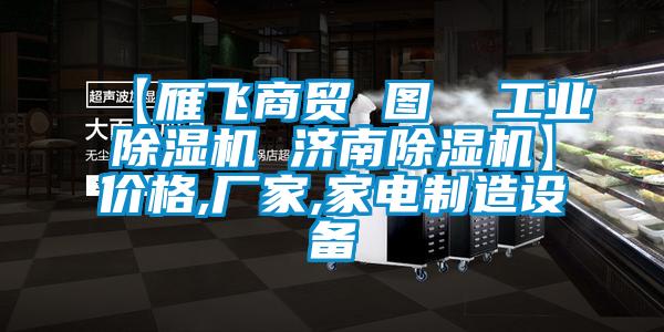 【雁飛商貿(mào) 圖  工業(yè)除濕機 濟(jì)南除濕機】價格,廠家,家電制造設(shè)備