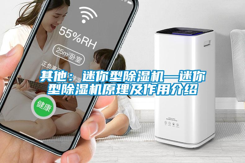 其他：迷你型除濕機—迷你型除濕機原理及作用介紹