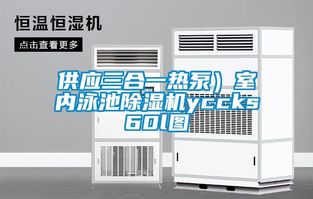 供應(yīng)三合一熱泵）室內(nèi)泳池除濕機(jī)yccks60l圖