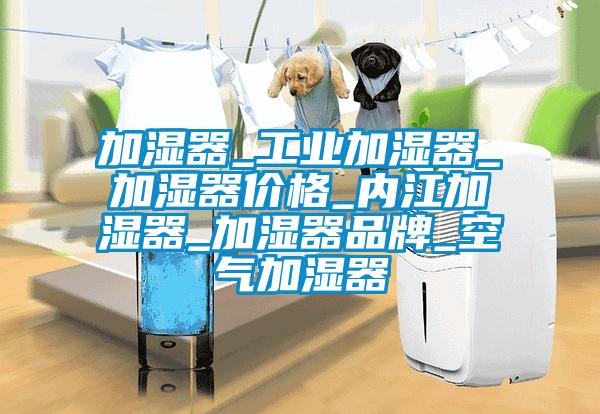 加濕器_工業(yè)加濕器_加濕器價格_內(nèi)江加濕器_加濕器品牌_空氣加濕器