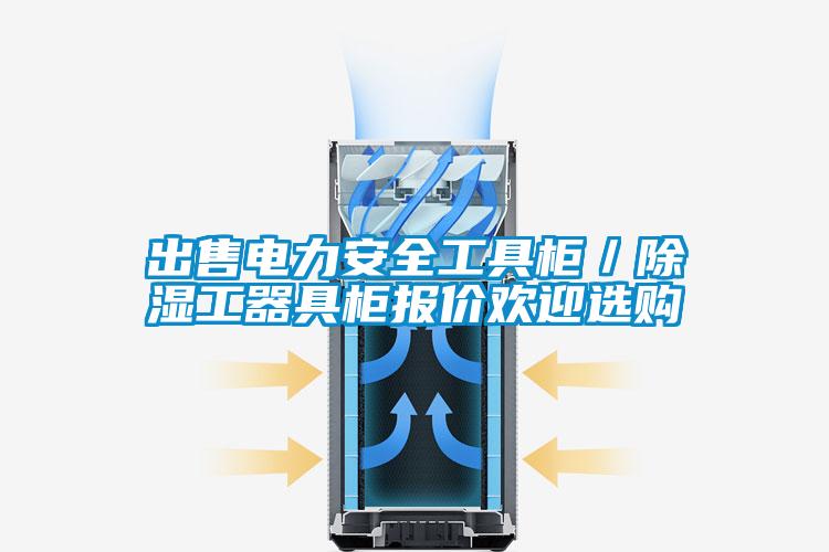 出售電力安全工具柜／除濕工器具柜報價歡迎選購