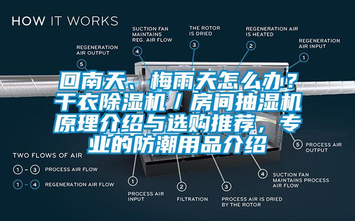 回南天、梅雨天怎么辦？干衣除濕機(jī)／房間抽濕機(jī)原理介紹與選購?fù)扑]，專業(yè)的防潮用品介紹