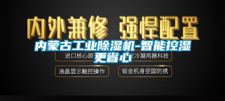 內(nèi)蒙古工業(yè)除濕機-智能控濕更省心