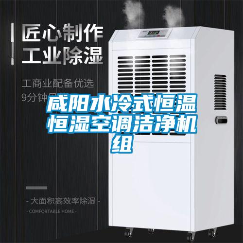 咸陽(yáng)水冷式恒溫恒濕空調(diào)潔凈機(jī)組