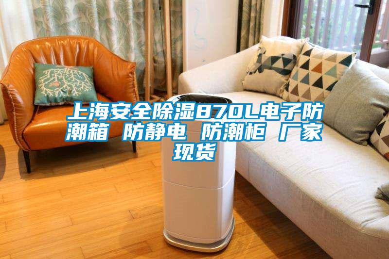 上海安全除濕870L電子防潮箱 防靜電 防潮柜 廠家現(xiàn)貨