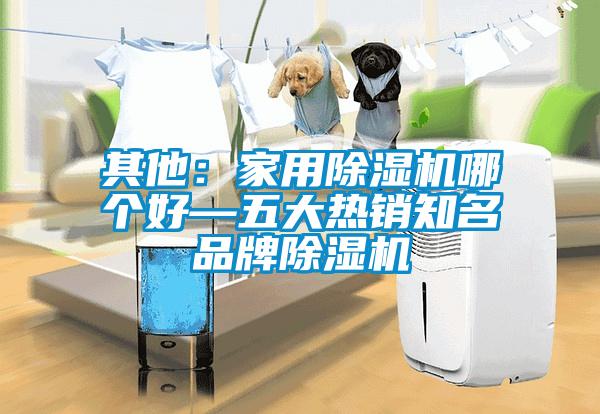 其他：家用除濕機哪個好—五大熱銷知名品牌除濕機