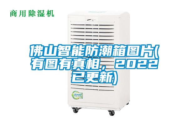 佛山智能防潮箱圖片(有圖有真相，2022已更新)