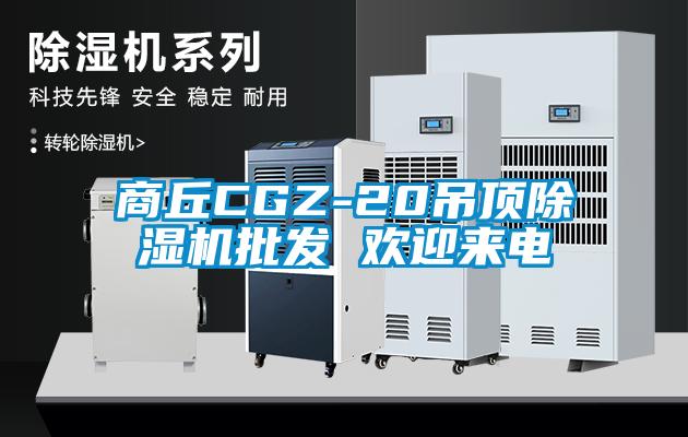 商丘CGZ-20吊頂除濕機(jī)批發(fā) 歡迎來(lái)電