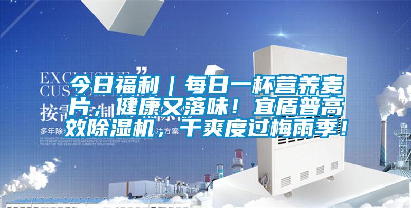 今日福利｜每日一杯營養(yǎng)麥片，健康又落味！宜盾普高效除濕機，干爽度過梅雨季！