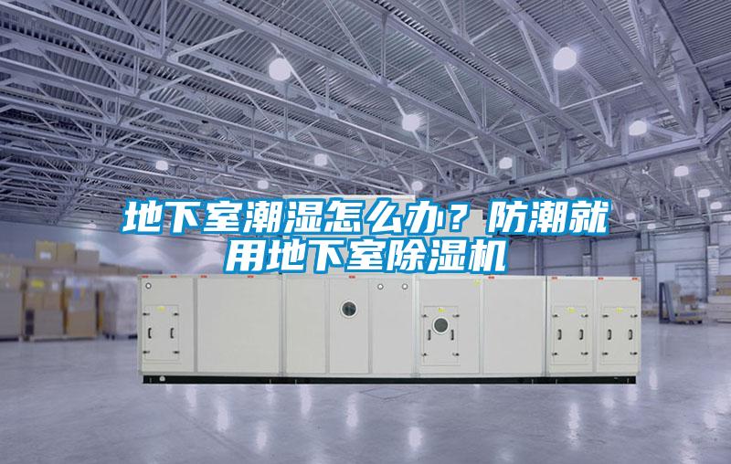 地下室潮濕怎么辦？防潮就用地下室除濕機(jī)