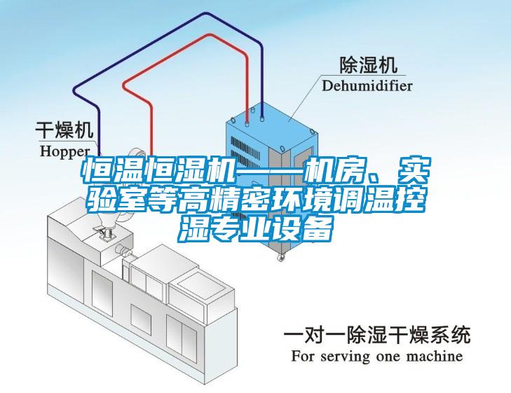 恒溫恒濕機(jī)——機(jī)房、實(shí)驗(yàn)室等高精密環(huán)境調(diào)溫控濕專業(yè)設(shè)備