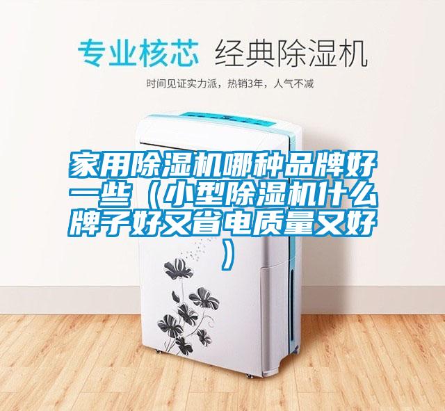 家用除濕機(jī)哪種品牌好一些（小型除濕機(jī)什么牌子好又省電質(zhì)量又好）