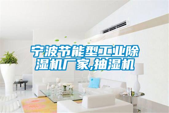 寧波節(jié)能型工業(yè)除濕機廠家,抽濕機