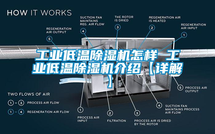 工業(yè)低溫除濕機怎樣 工業(yè)低溫除濕機介紹【詳解】