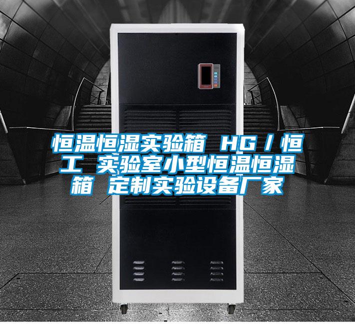 恒溫恒濕實驗箱 HG／恒工 實驗室小型恒溫恒濕箱 定制實驗設備廠家