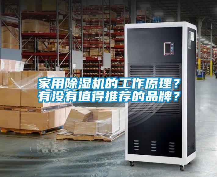 家用除濕機的工作原理？有沒有值得推薦的品牌？