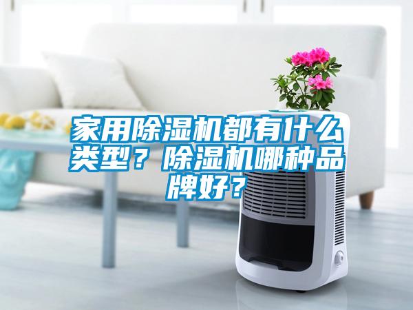 家用除濕機都有什么類型？除濕機哪種品牌好？