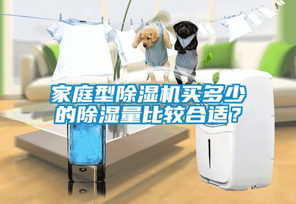 家庭型除濕機買多少的除濕量比較合適？