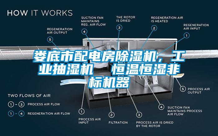 婁底市配電房除濕機(jī)，工業(yè)抽濕機(jī)  恒溫恒濕非標(biāo)機(jī)器