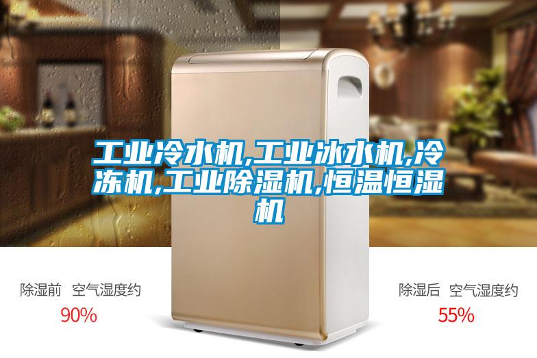 工業(yè)冷水機,工業(yè)冰水機,冷凍機,工業(yè)除濕機,恒溫恒濕機