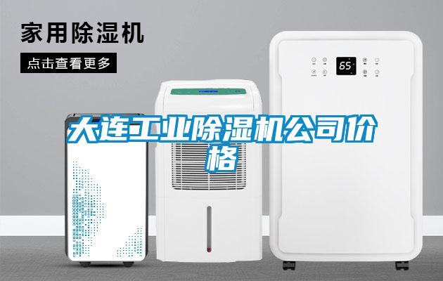 大連工業(yè)除濕機公司價格