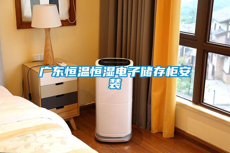 廣東恒溫恒濕電子儲存柜安裝