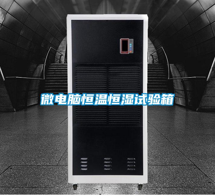 微電腦恒溫恒濕試驗(yàn)箱