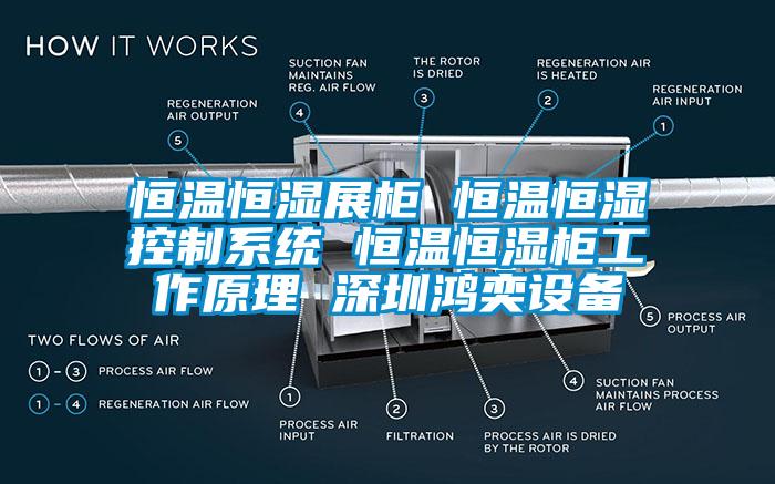 恒溫恒濕展柜 恒溫恒濕控制系統(tǒng) 恒溫恒濕柜工作原理 深圳鴻奕設(shè)備