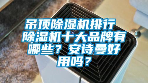 吊頂除濕機排行 除濕機十大品牌有哪些？安詩曼好用嗎？