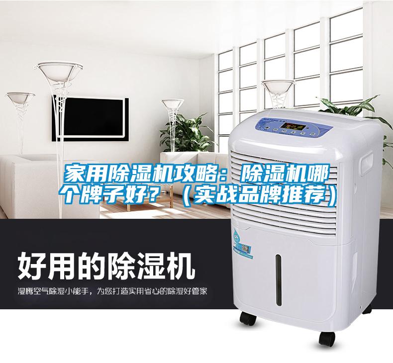 家用除濕機攻略：除濕機哪個牌子好？（實戰(zhàn)品牌推薦）