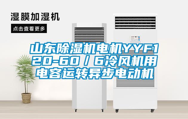 山東除濕機電機YYF120-60／6冷風機用電容運轉異步電動機