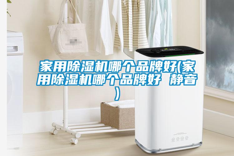 家用除濕機哪個品牌好(家用除濕機哪個品牌好 靜音)