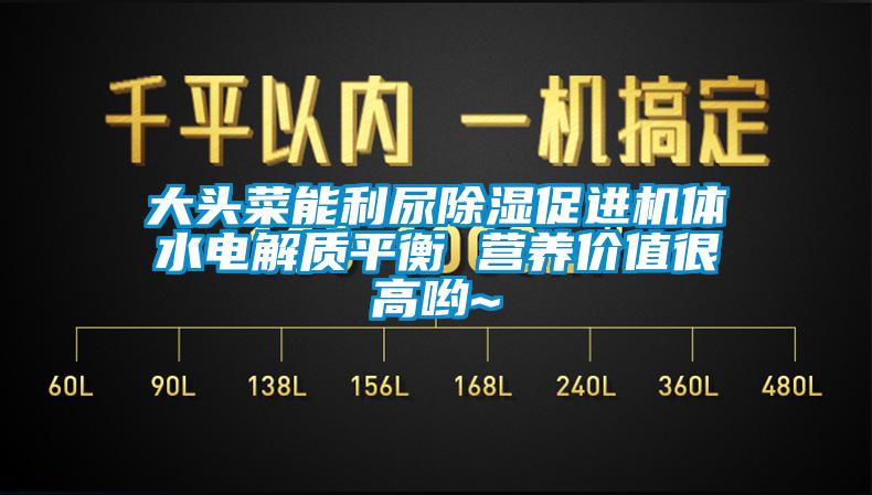 大頭菜能利尿除濕促進(jìn)機(jī)體水電解質(zhì)平衡 營(yíng)養(yǎng)價(jià)值很高喲~