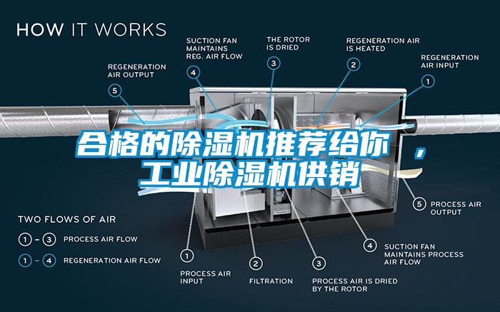 合格的除濕機(jī)推薦給你 ，工業(yè)除濕機(jī)供銷