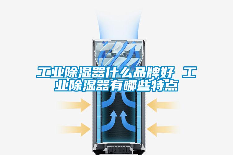 工業(yè)除濕器什么品牌好 工業(yè)除濕器有哪些特點(diǎn)