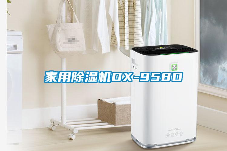 家用除濕機DX-958D