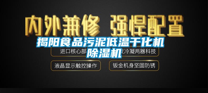 揭陽食品污泥低溫干化機 除濕機