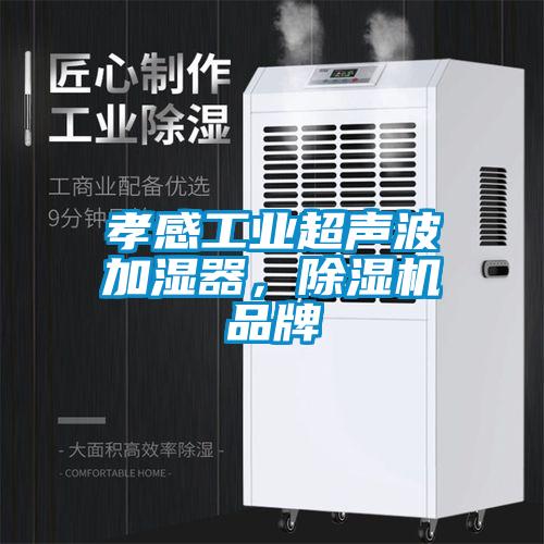 孝感工業(yè)超聲波加濕器，除濕機品牌