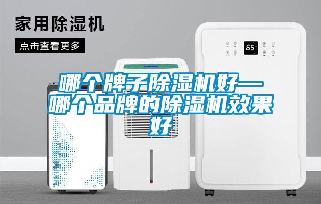 哪個(gè)牌子除濕機(jī)好—哪個(gè)品牌的除濕機(jī)效果好