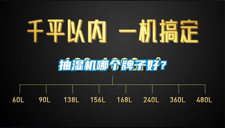 抽濕機哪個牌子好？