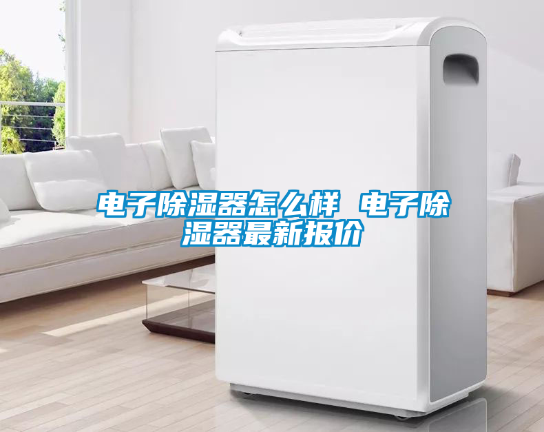 電子除濕器怎么樣 電子除濕器最新報價