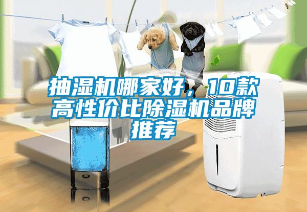 抽濕機(jī)哪家好，10款高性價比除濕機(jī)品牌推薦